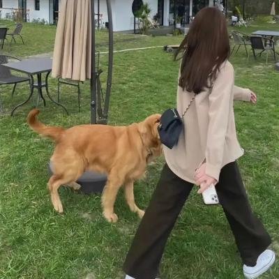 遇见你真好第一季